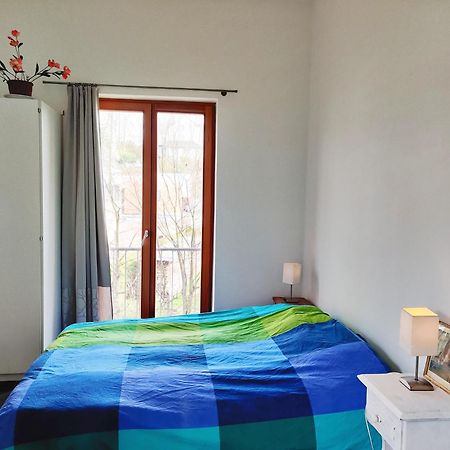 Petit Nid En Alsace Studio Independant Avec Salle De Douche Privative Buschwiller Exterior photo