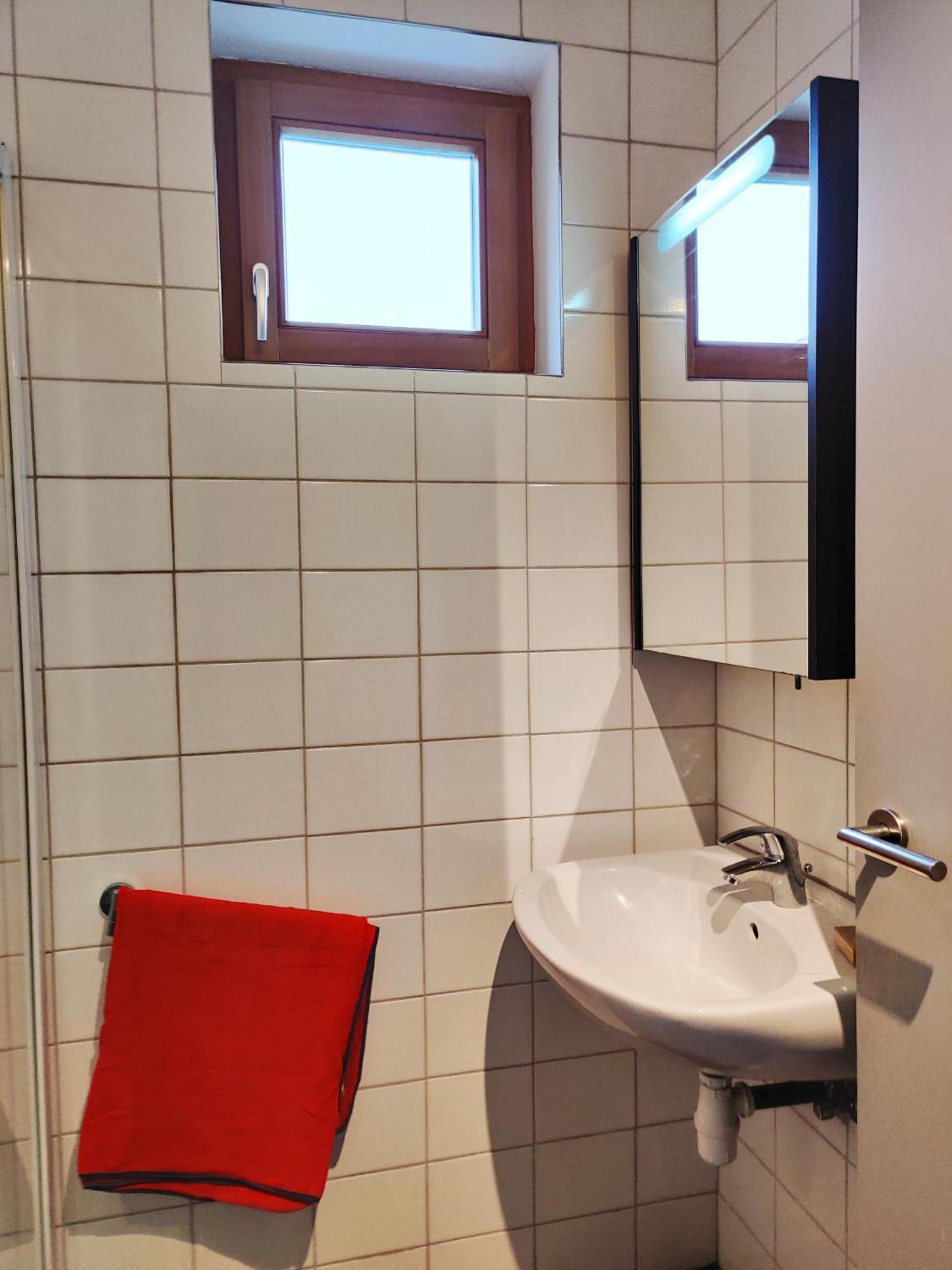 Petit Nid En Alsace Studio Independant Avec Salle De Douche Privative Buschwiller Exterior photo